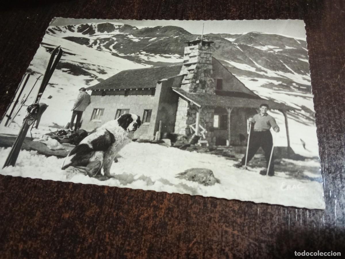 Postales: Andorra Pas de la Casa,Xalet del Teleski i el gos St Bernat