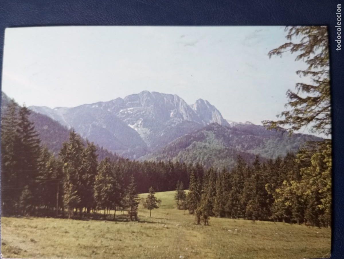 Postales: POSTAL DE POLONIA, 1990 , MONTES TATRA, CIRCULADA