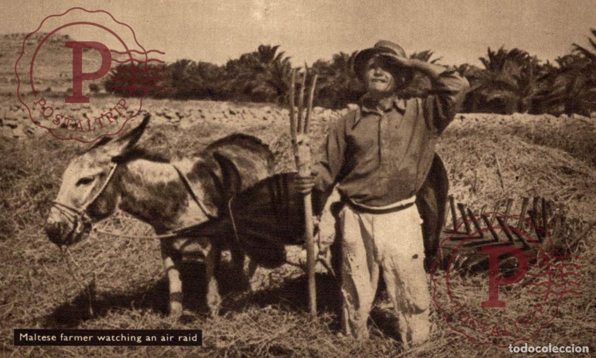 Postales: MALTA. MALTE. MALTESE FARMER WATCHING AN AIR RAID.