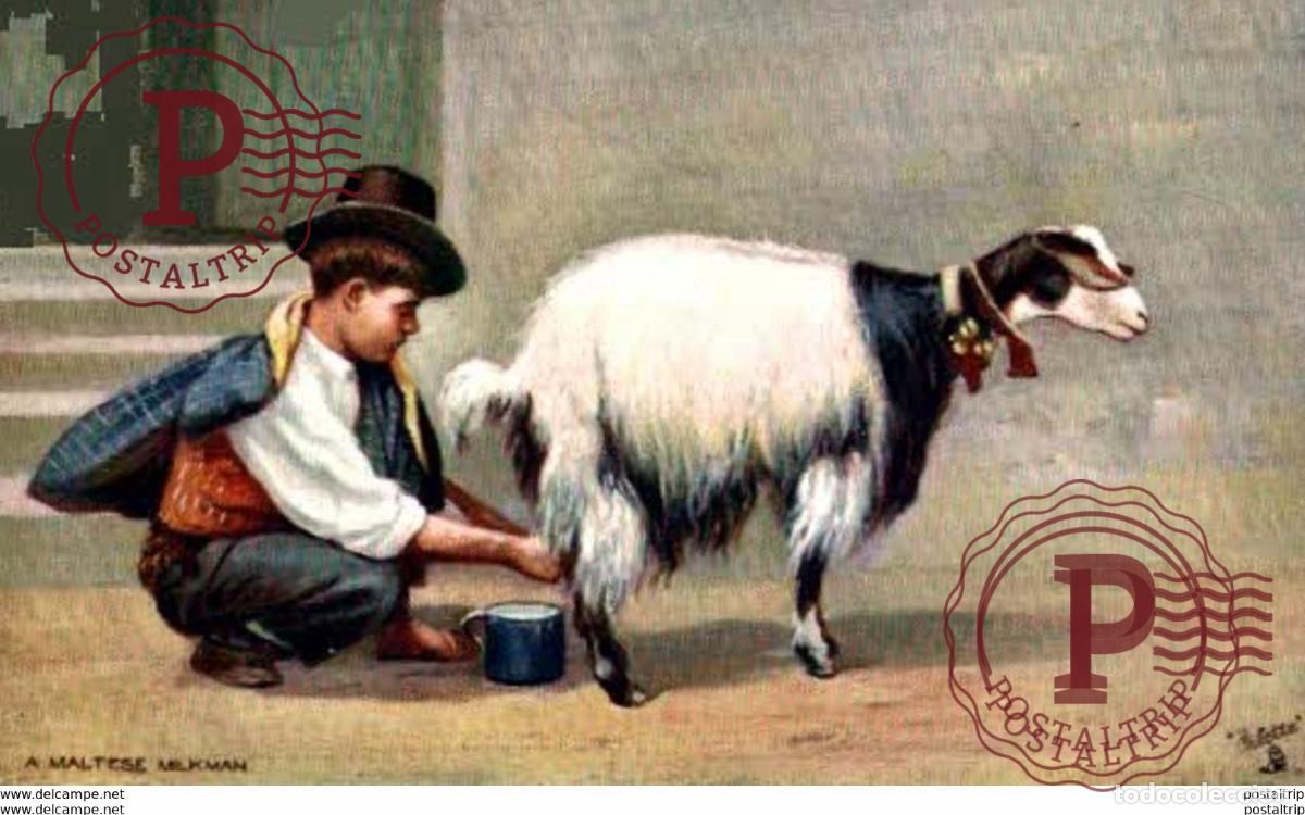 Postales: A MALTESE MILKMAN Malta