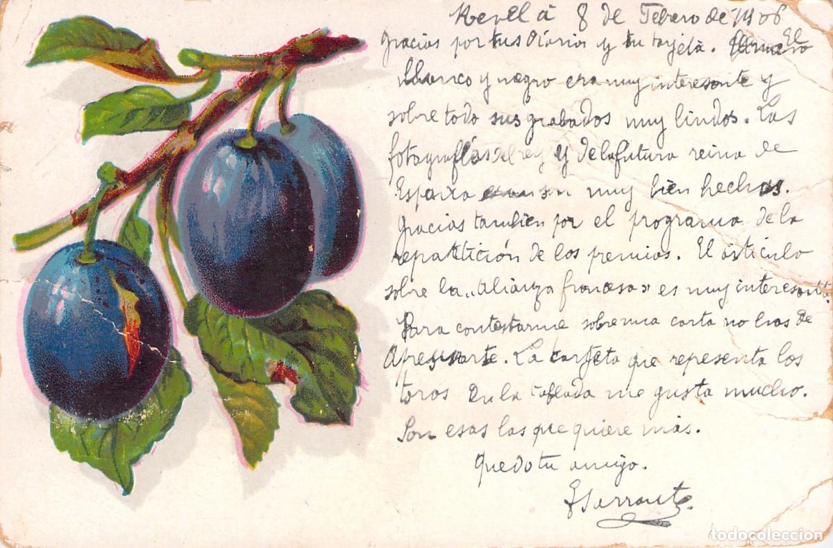 Postales: Tarjeta Postal Ilustrada con Ciruelas enviada desde Francia
