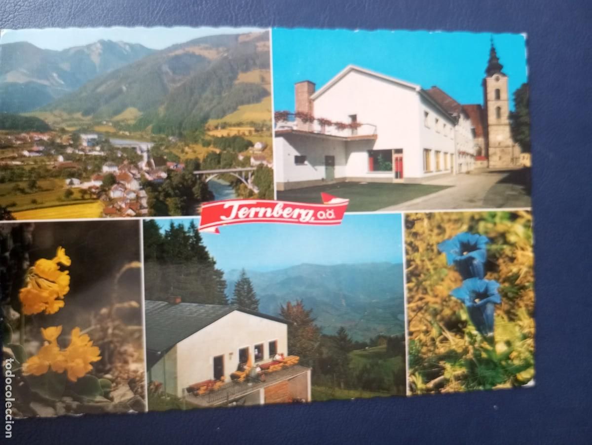 Postales: POSTAL AUSTRIACA , TERNBERG CIRCULADA, - Foto 1