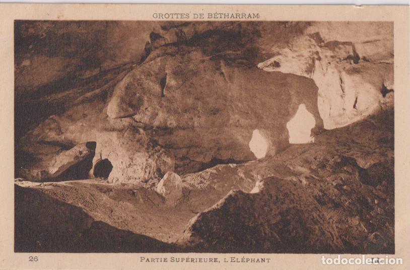 Postales: FRANCIA, GROTTES DE B&Eacute;THARRAM, PART SUPERIOR, L'EL&Eacute;PHANT - LEVY ET NEURDEIN N&ordm;28 &ndash; S/C