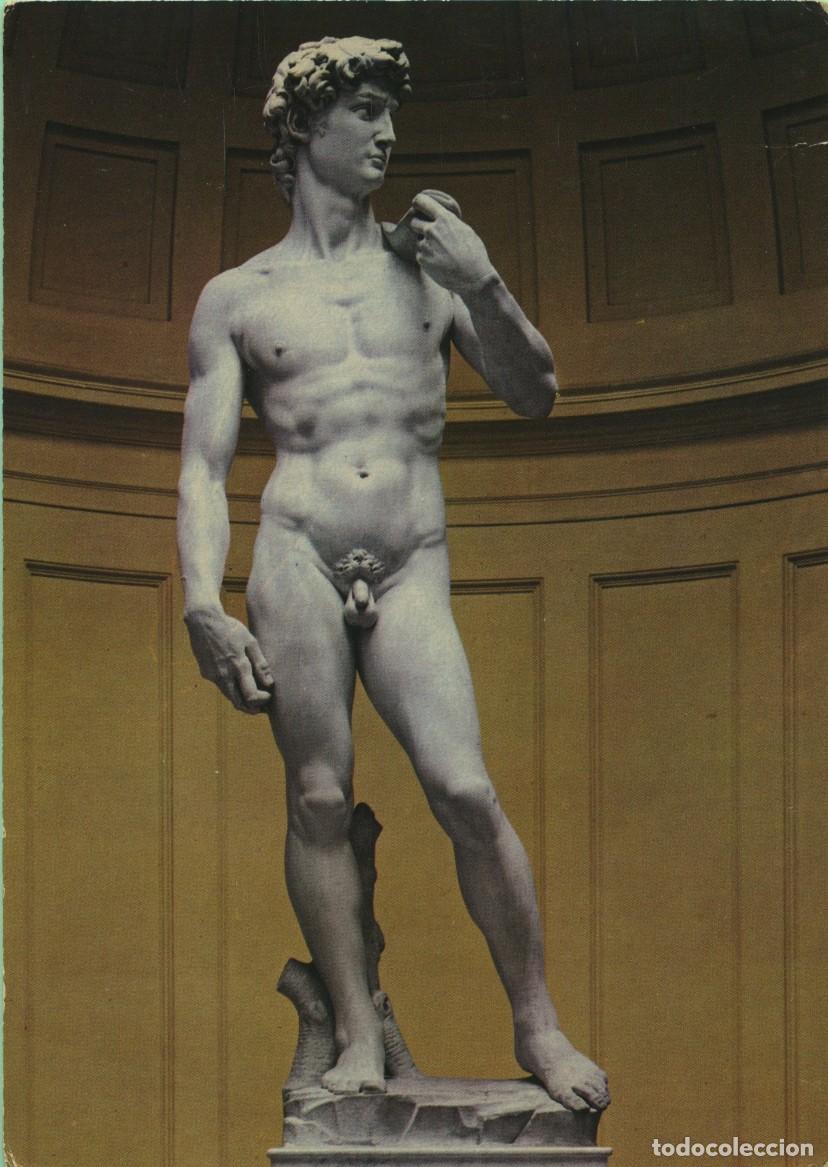 Postales: N&ordm; 501-FIRENZE. Italia. Galleria dell'Accademia. Michelangelo: Il David. Sin circular. 1973. ED. BON