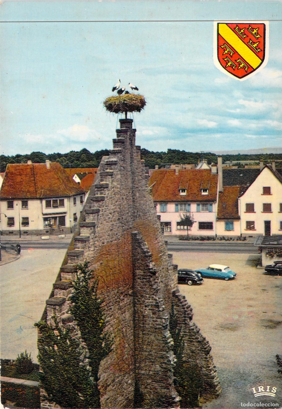 Postales: Postal de Ostheim: Nido de Cig&uuml;e&ntilde;as en la Regi&oacute;n de Alsacia