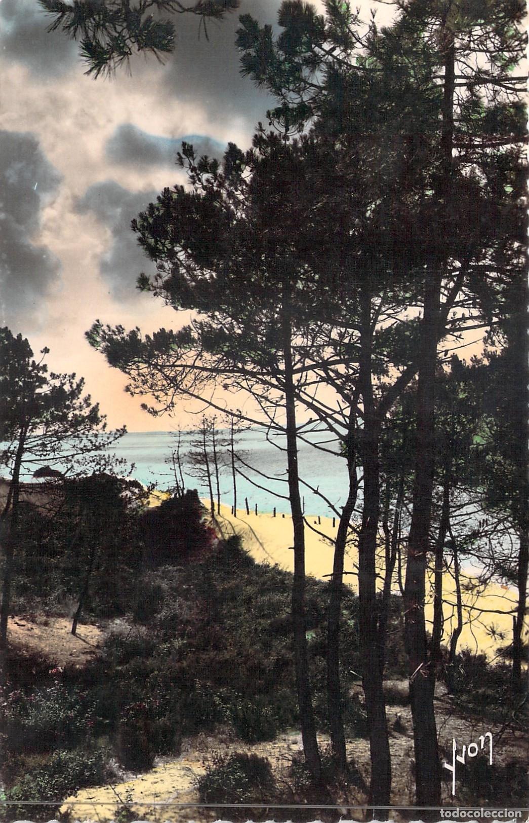 Postales: Postal de Le Pyla-sur-Mer Gironde Dunes des Abatilles