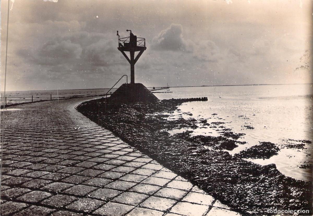 Cartoline: Postal Noirmoutier Passage du Gois Francia Paisaje Mar&iacute;timo