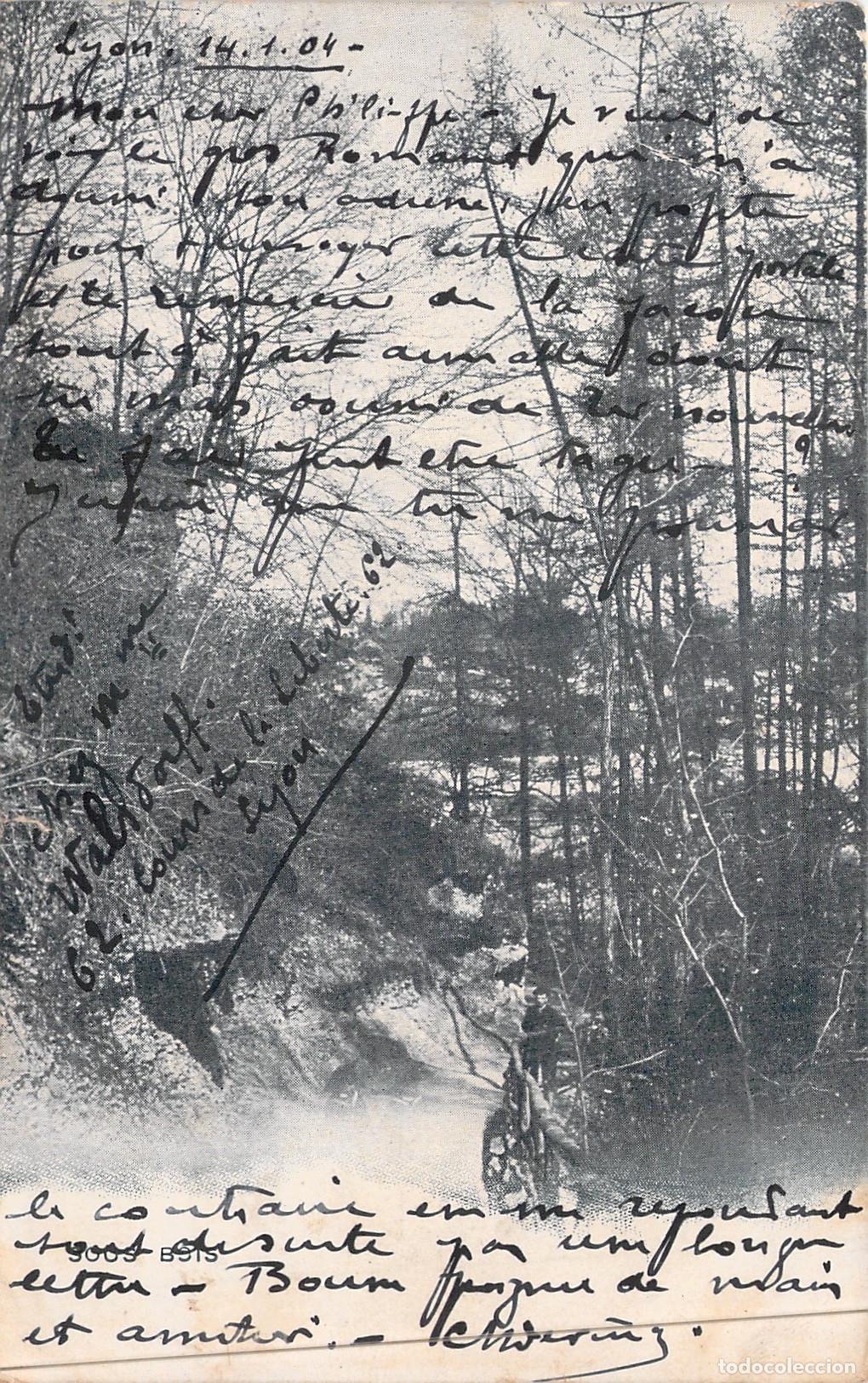 Postales: Postal de Lyon con Paisaje de Bosque Nevado en Francia