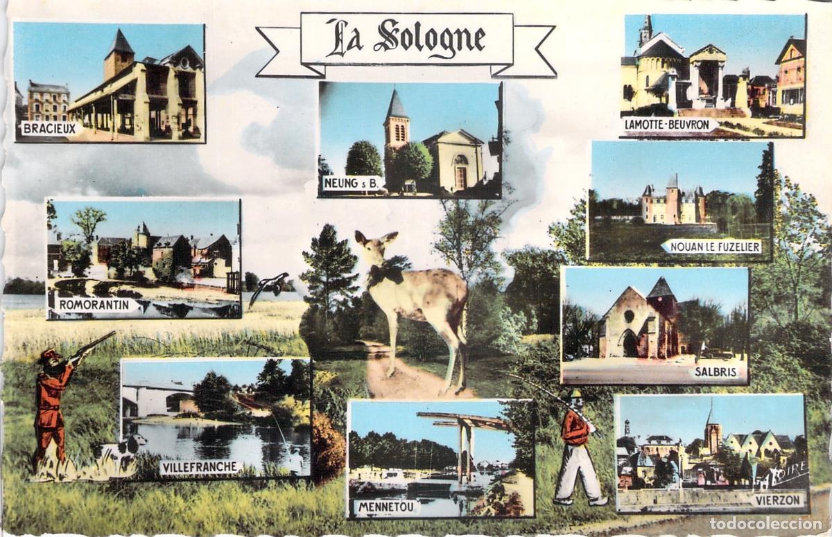 Postales: Postal de La Sologne, Francia - Multivista de Pueblos y Paisajes