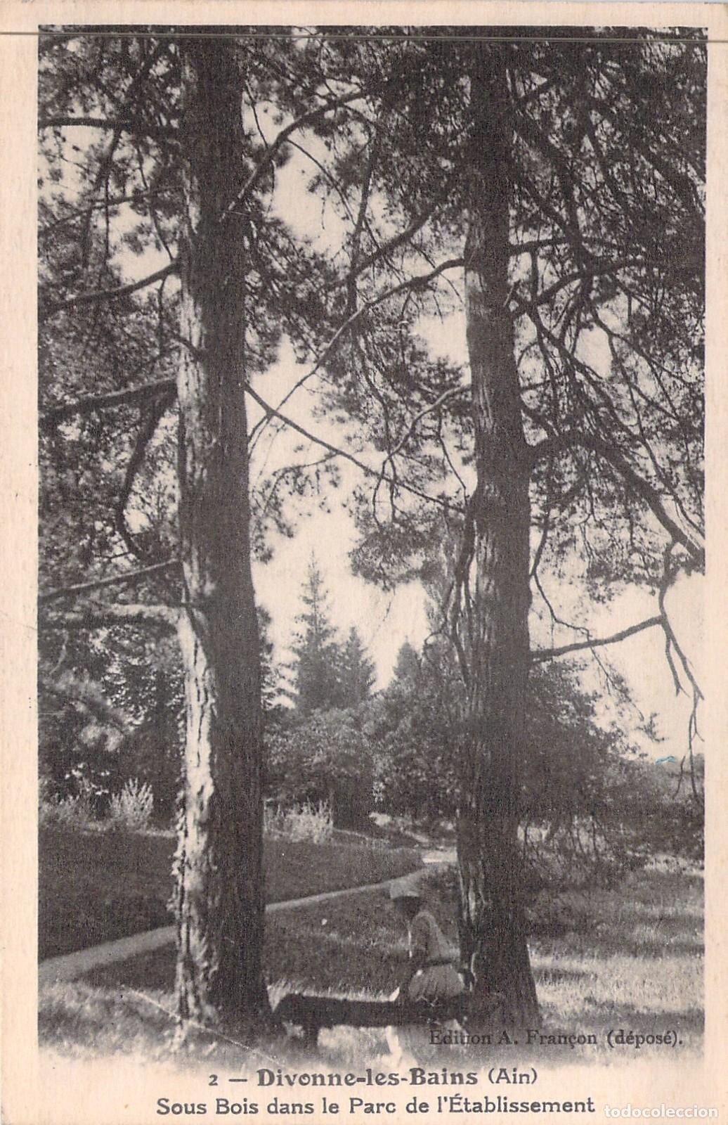 Cartoline: Tarjeta Postal Divonne-les-Bains, Parque de l'&Eacute;tablissement, Francia