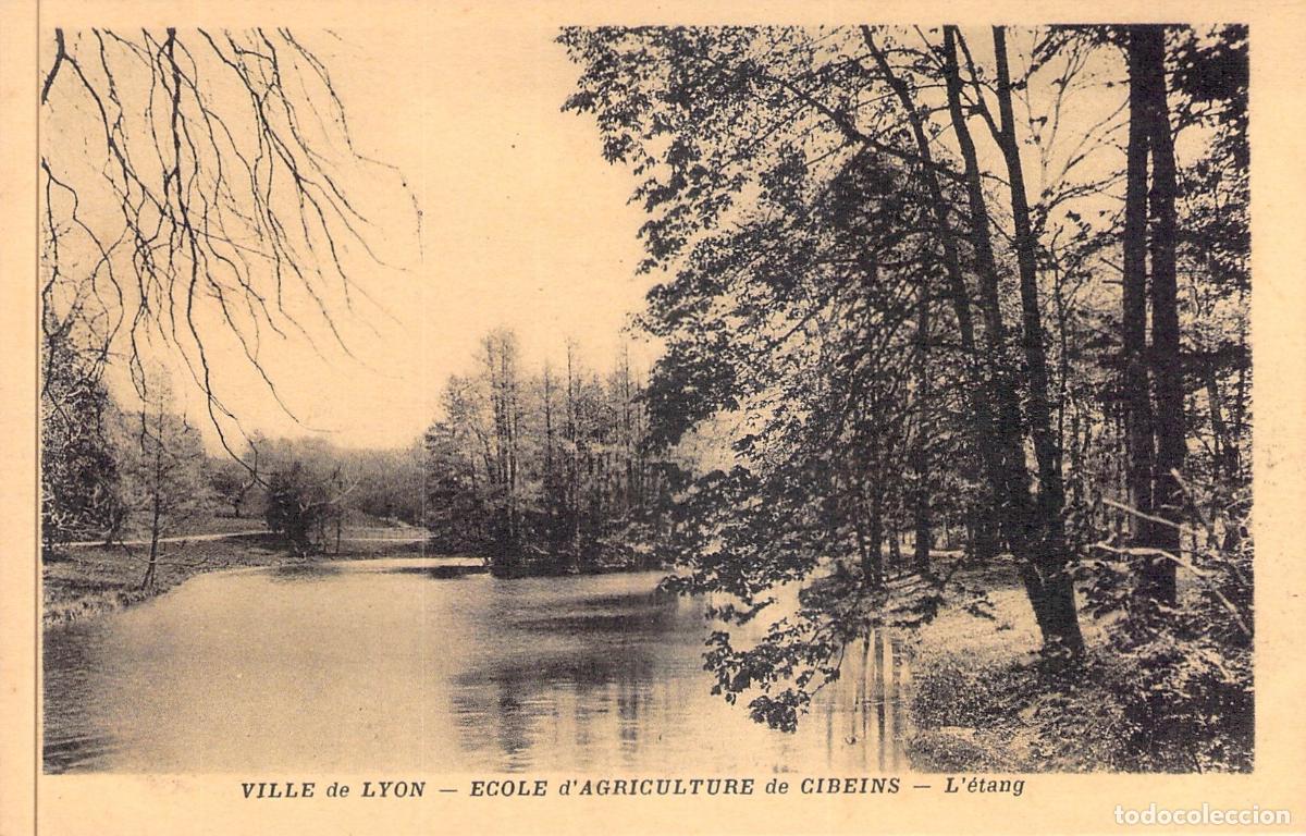 Postales: Postal de la Escuela de Agricultura de Cibeins, Lyon - Paisaje del Estanque