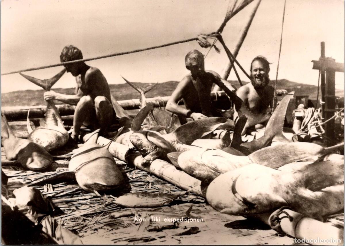 Postales: Noruega - La expedici&oacute;n Kon-Tiki (Kon-Tiki ekspedisjonen) - 149x103mm -Thor Heyerdahl- Pesca Tibur&oacute;n