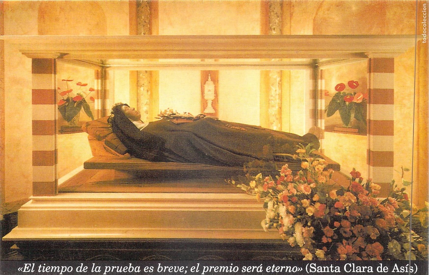 Postales: Fotografia Cuerpo Incorrupto de Santa Clara de As&iacute;s