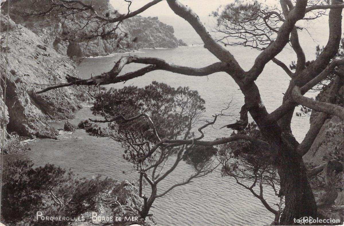 Cartes Postales: Postal de Porquerolles Bords de Mer Francia
