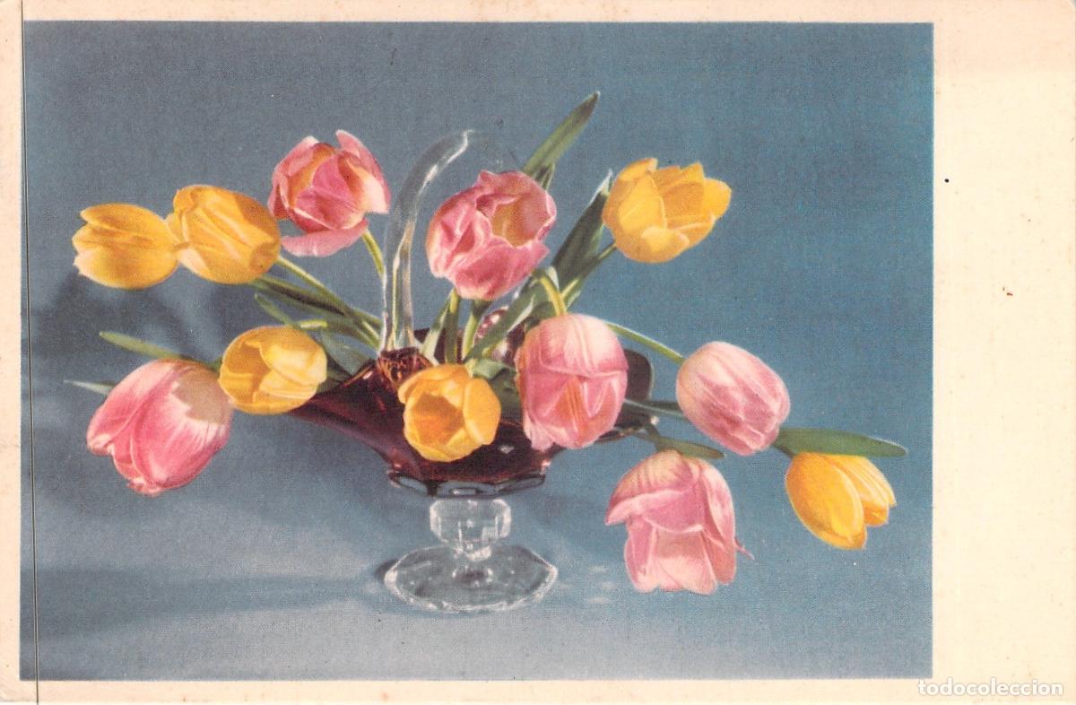 Cartes Postales: Postal de Flores Tulipanes en Cuenco de Cristal