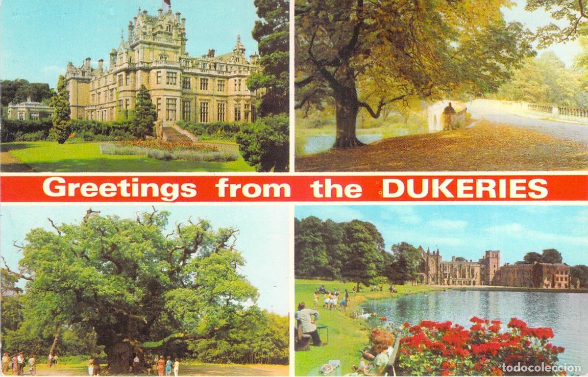 Postcards: Postal de The Dukeries, Nottinghamshire, Vistas y Paisajes