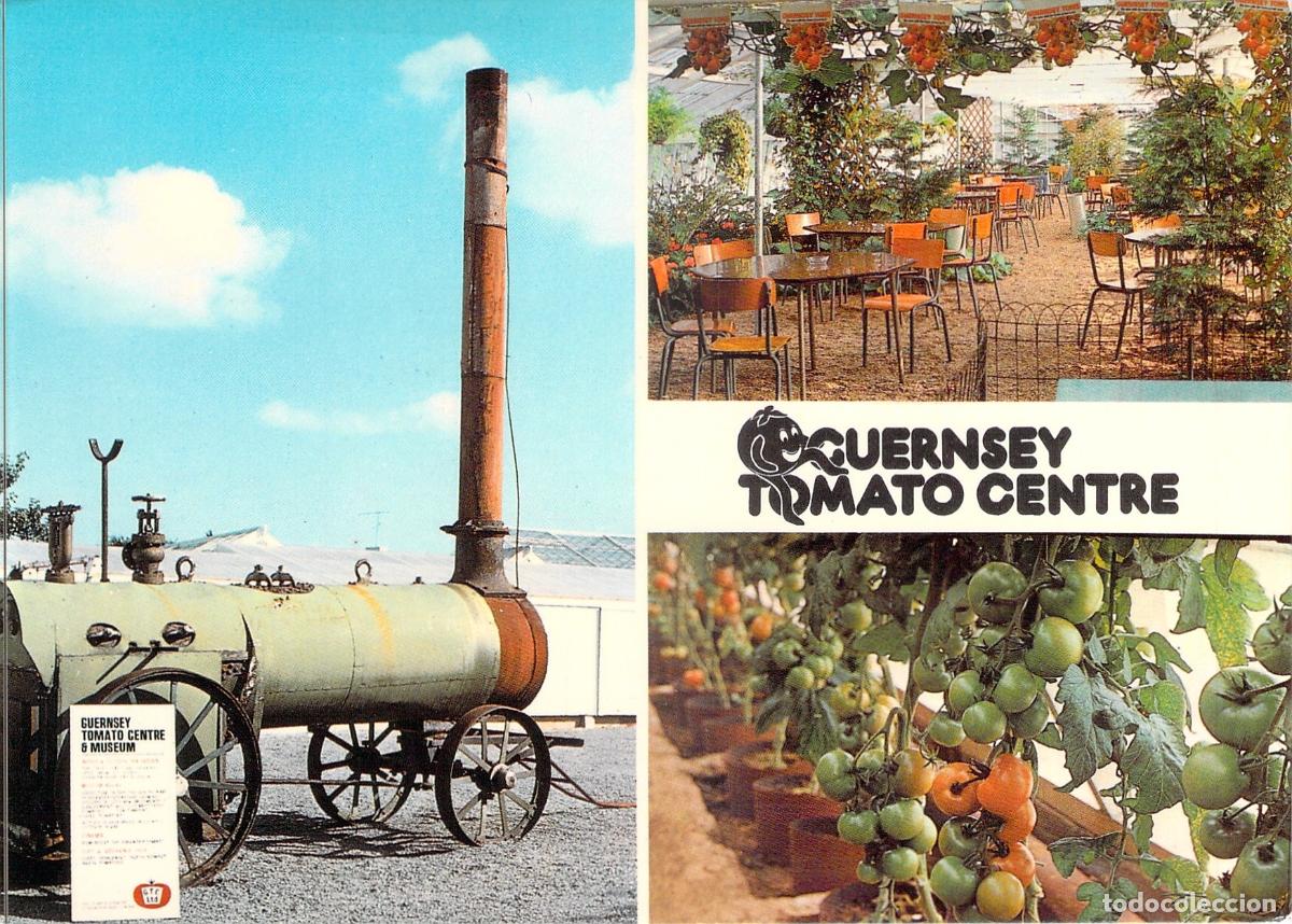 Cartes Postales: Postal de The Guernsey Tomato Centre, Islas del Canal