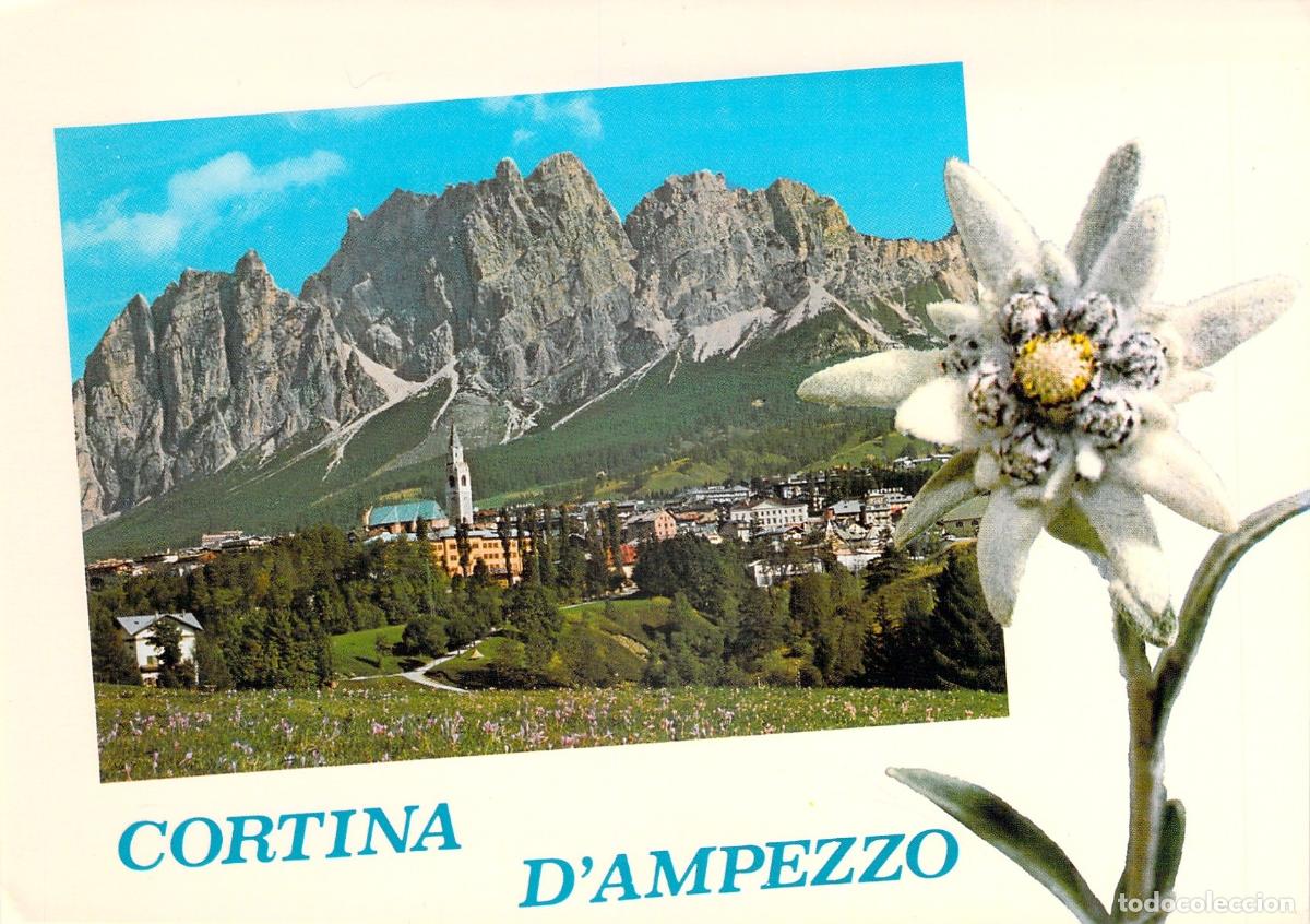 Postales: Postal Cortina d'Ampezzo y Flor Edelweiss, Dolomitas, Italia