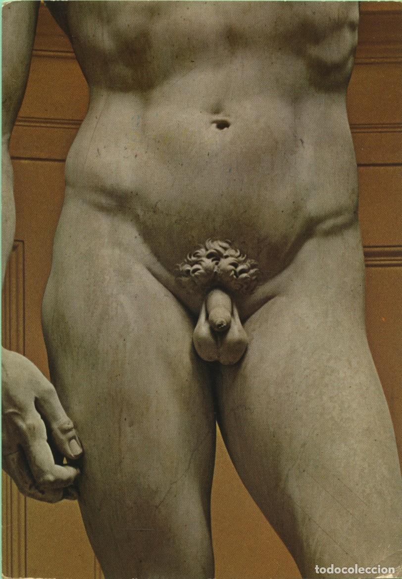 Postales: N&ordm; 358-FIRENZE. Italia. Galleria Accademia. David (Michelangelo). Particolare. Sin circular. INNOCEN