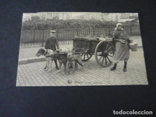 Postais: PERRO CON CARRO BELGICA POSTAL ANTIGUA