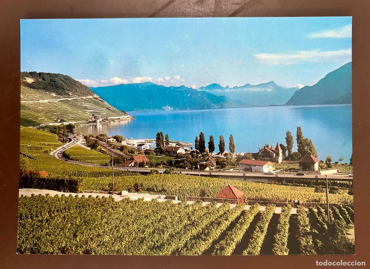 Postales: POSTAL LAC L&Eacute;MAN - CULLY - VIGNOBLE DE LAVAUX - SUIZA - SWITZERLAND - VINTAGE - SIN CIRCULAR