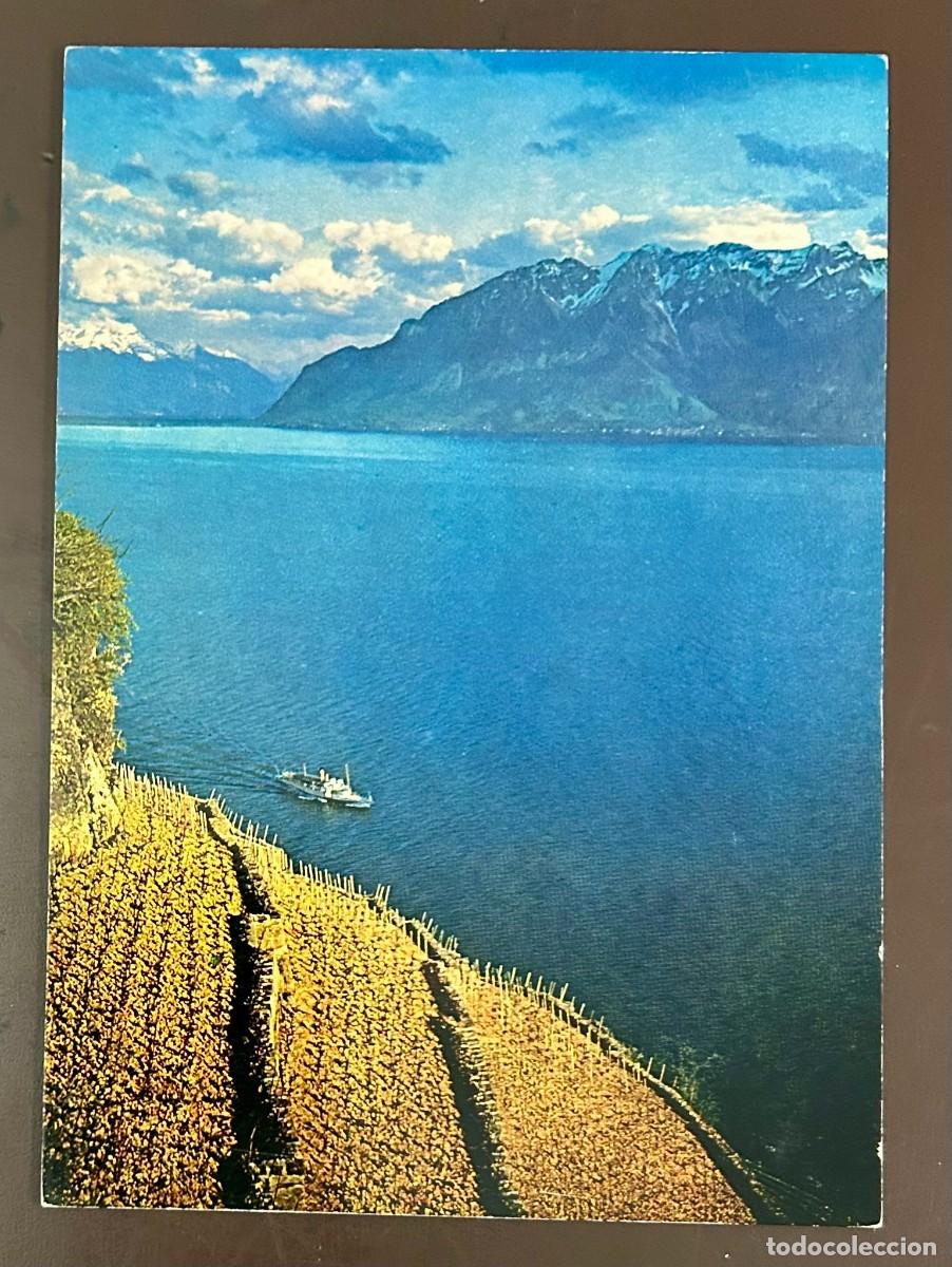 Postcards: POSTAL LAC L&Eacute;MAN - VIGNOBLE DE LAVAUX - SUIZA - SWITZERLAND - VINTAGE - SIN CIRCULAR