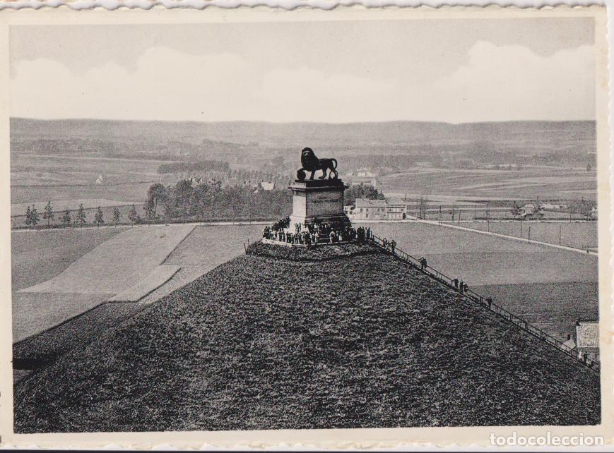 Postales: BELGICA, LA COLINA DEL LE&Oacute;N, COLINA C&Oacute;NICA ARTIFICIAL - THILL N&ordm;342 - S/C