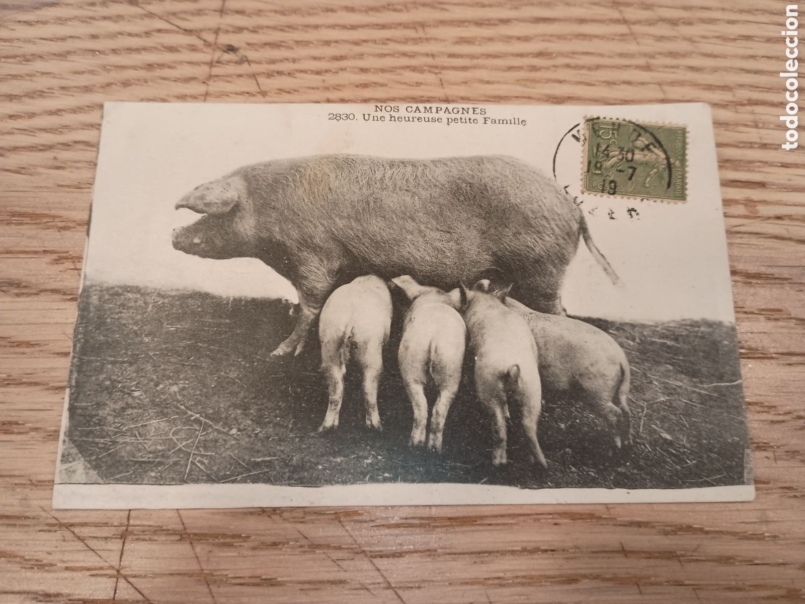 Postales: FRANCIA - NOS CHAMPAGNES - UNE HEUREUSE PETITE FAMILLE - M. T. IMPRIMEUR, LIMOGES