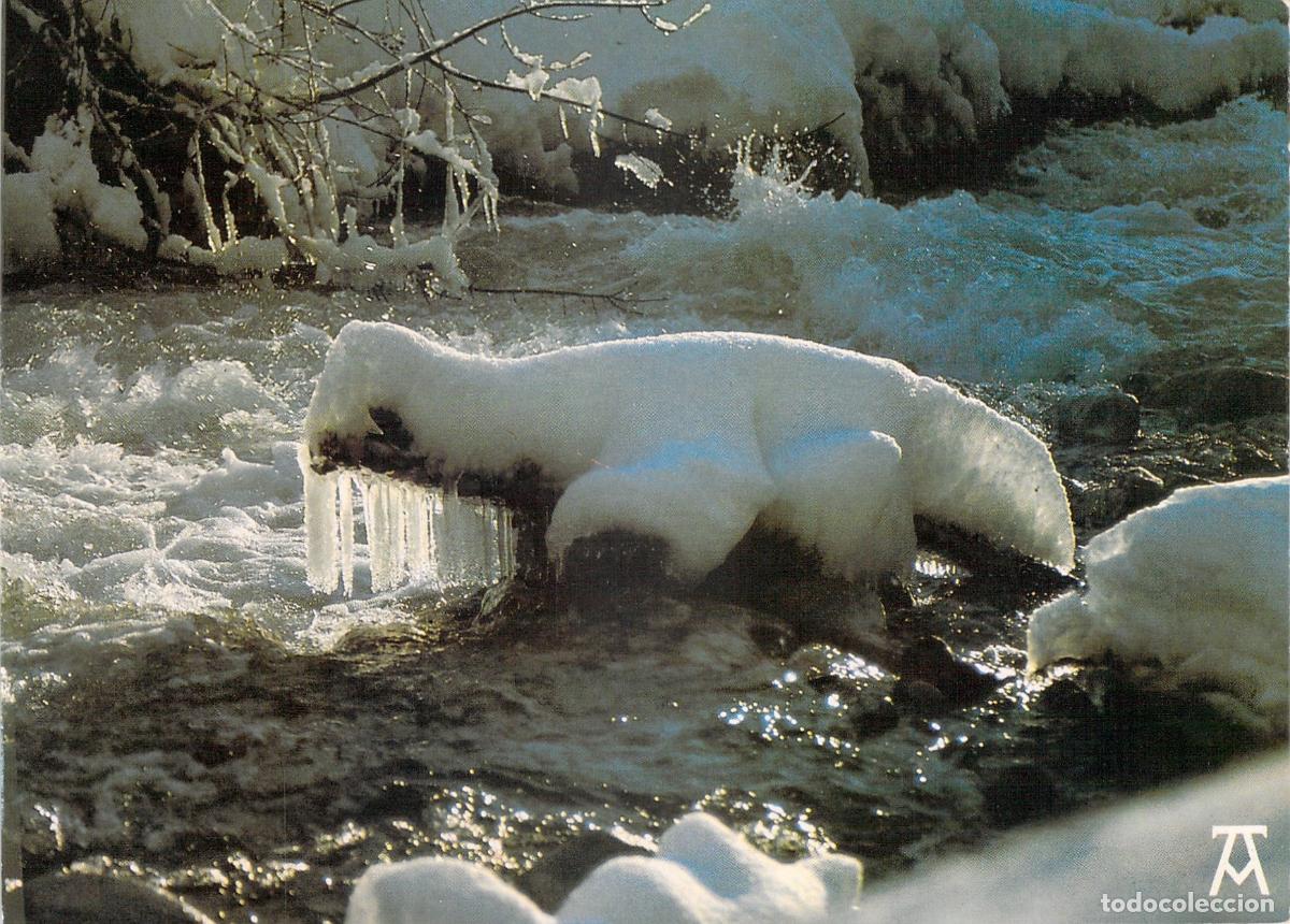 Cartoline: Postal de los Pirineos, La Foca de las Nieves, Paisaje de Invierno
