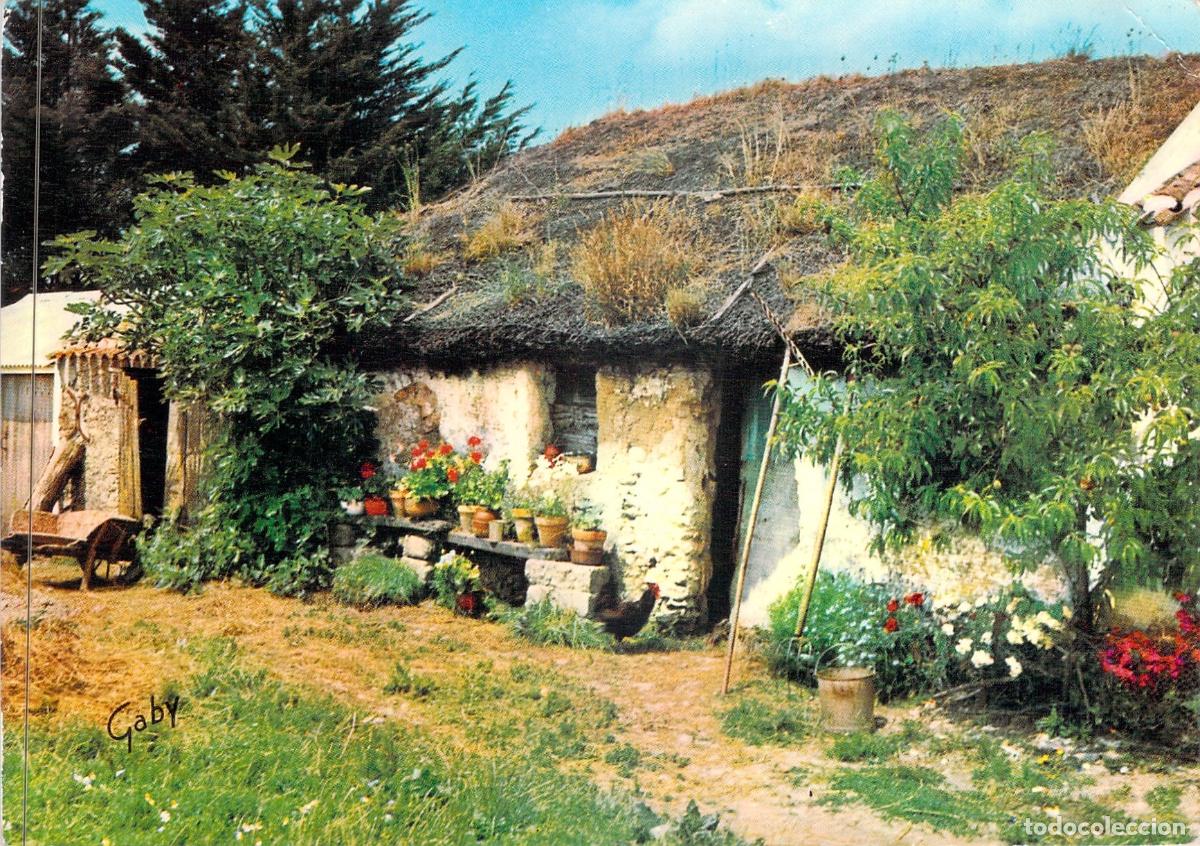Postales: Postal de Choza Tradicional con Techo de Paja en Vend&eacute;e, Francia