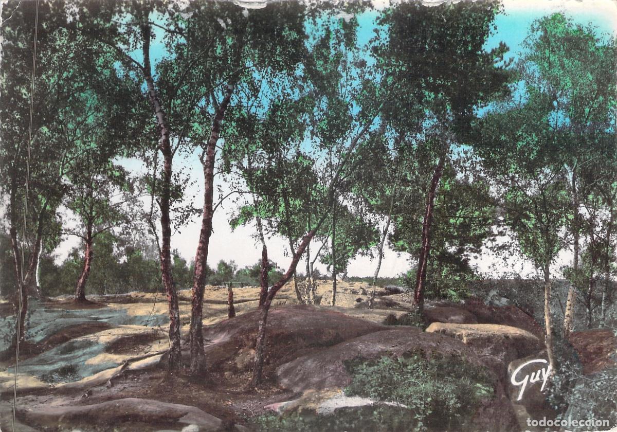 Postales: Postal de la Selva de Franchard en Fontainebleau