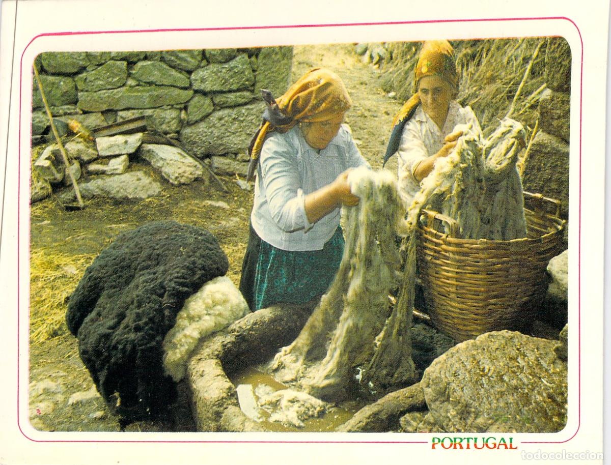 Postales: Postal de Portugal - Mujeres Lavando Lana de Forma Tradicional