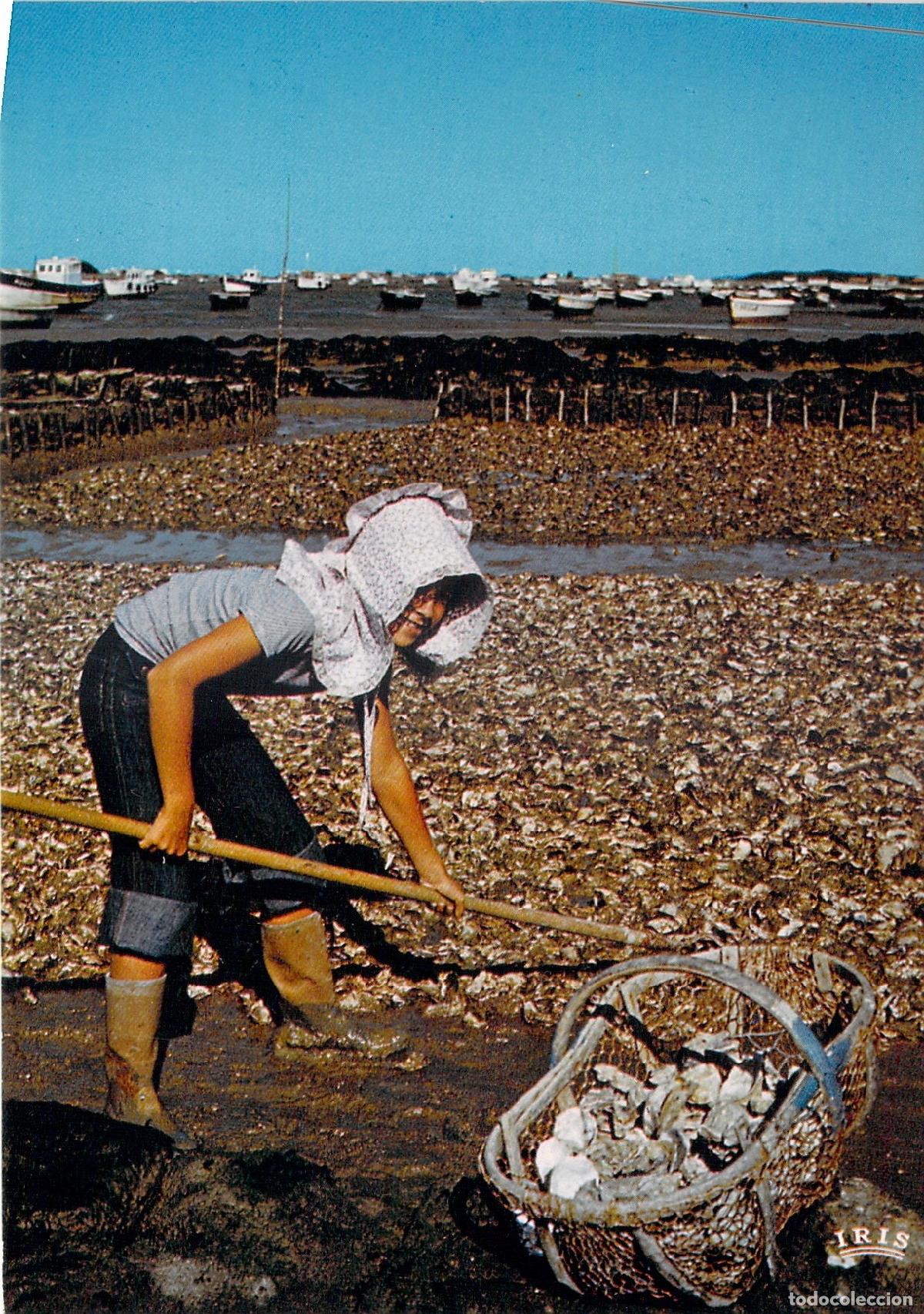 Postales: Postal de Ostreicultura en la Isla de Ol&eacute;ron, Francia