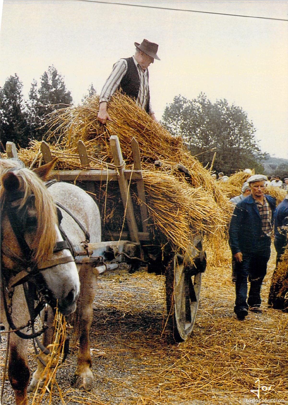 Postales: Postal de la Fiesta de la Siega en Breta&ntilde;a Francia con Carro de Caballos