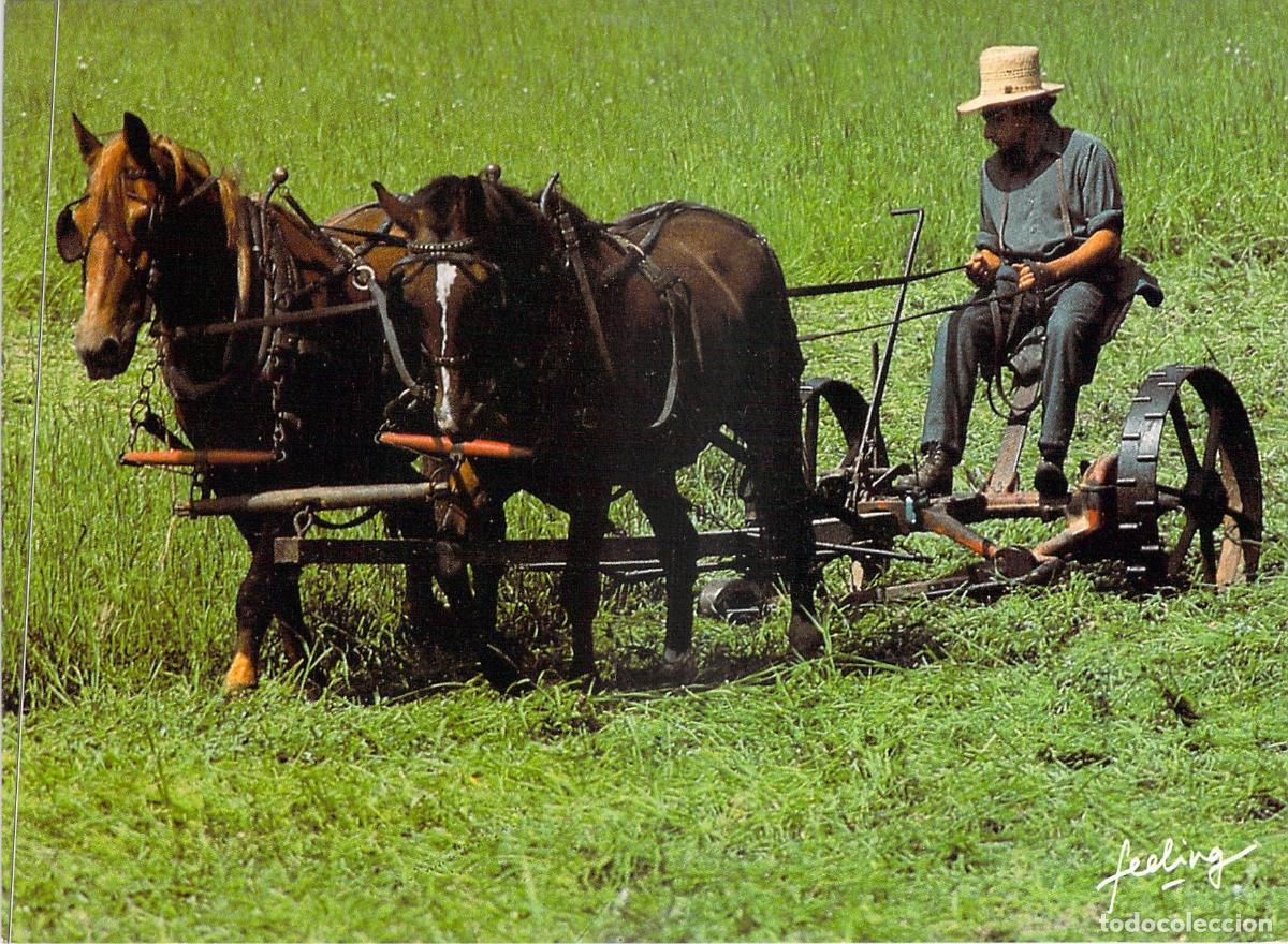 Postales: Postal de Escena Agr&iacute;cola Tradicional con Caballos y Segadora