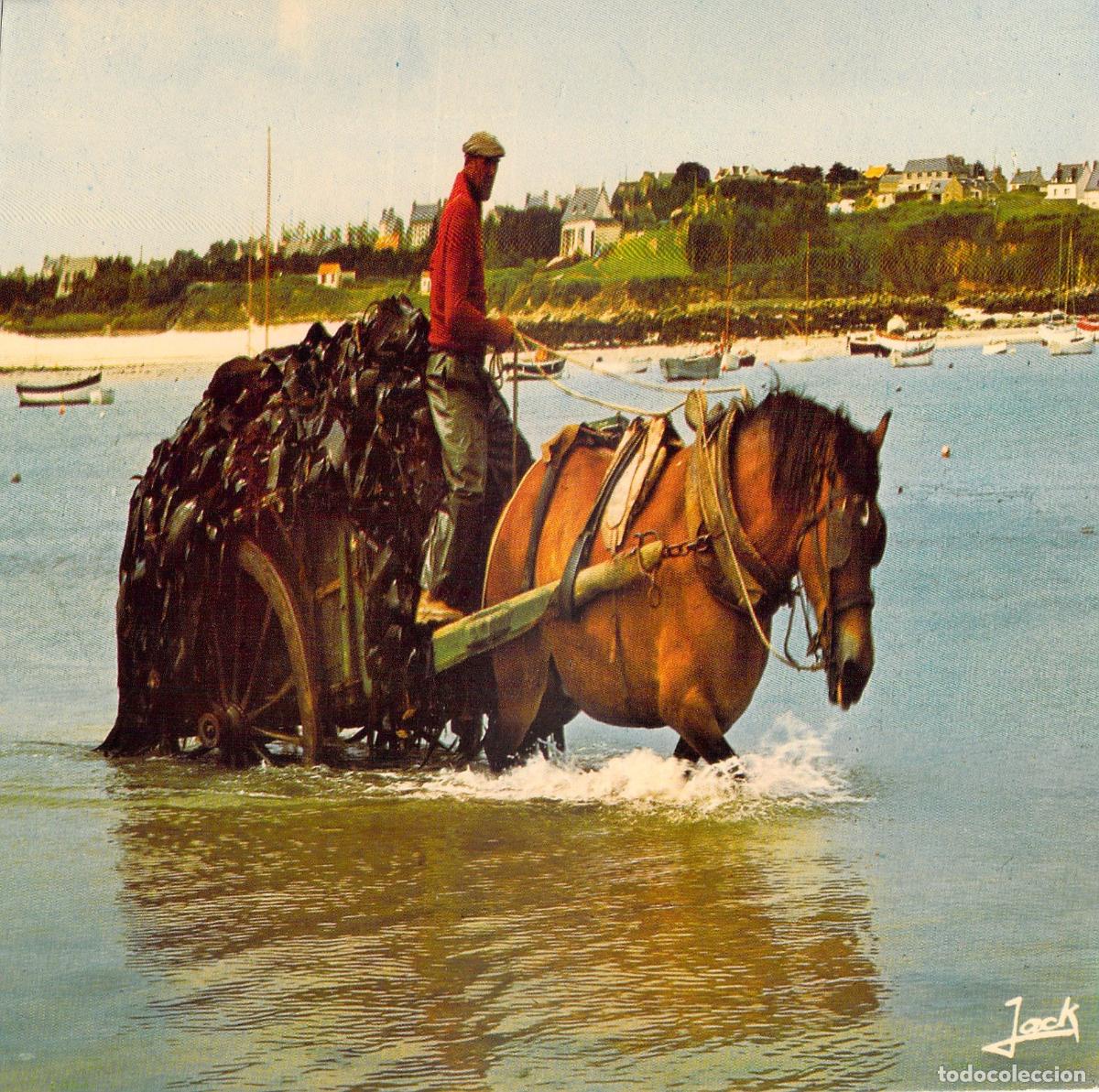 Postales: Postal Tradicional Recolecci&oacute;n de Algas en Breta&ntilde;a, Francia