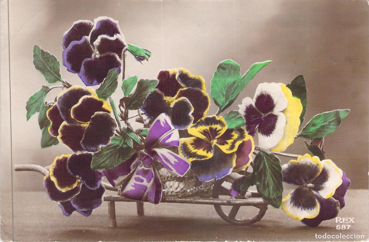 Postales: Postal de Flores Pensamientos en Carretilla Decorativa