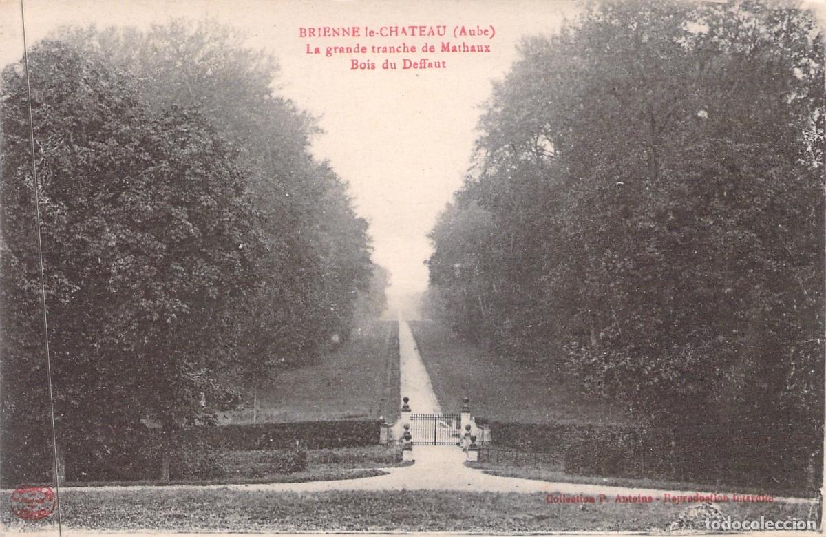 Postales: Postal Brienne-le-Ch&acirc;teau - La Grande Tranche de Mathaux, Bois du Deffaut