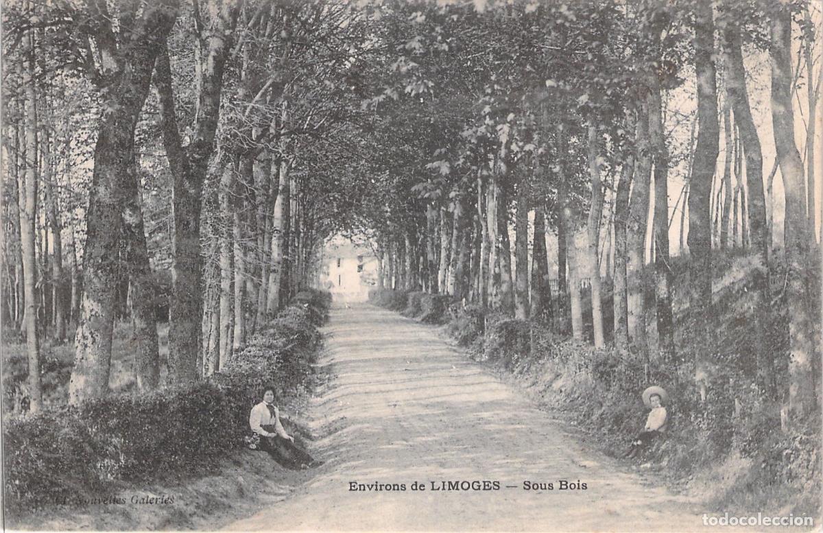 Cartoline: Postal de Limoges, Francia - Paisaje de Bosque y Camino