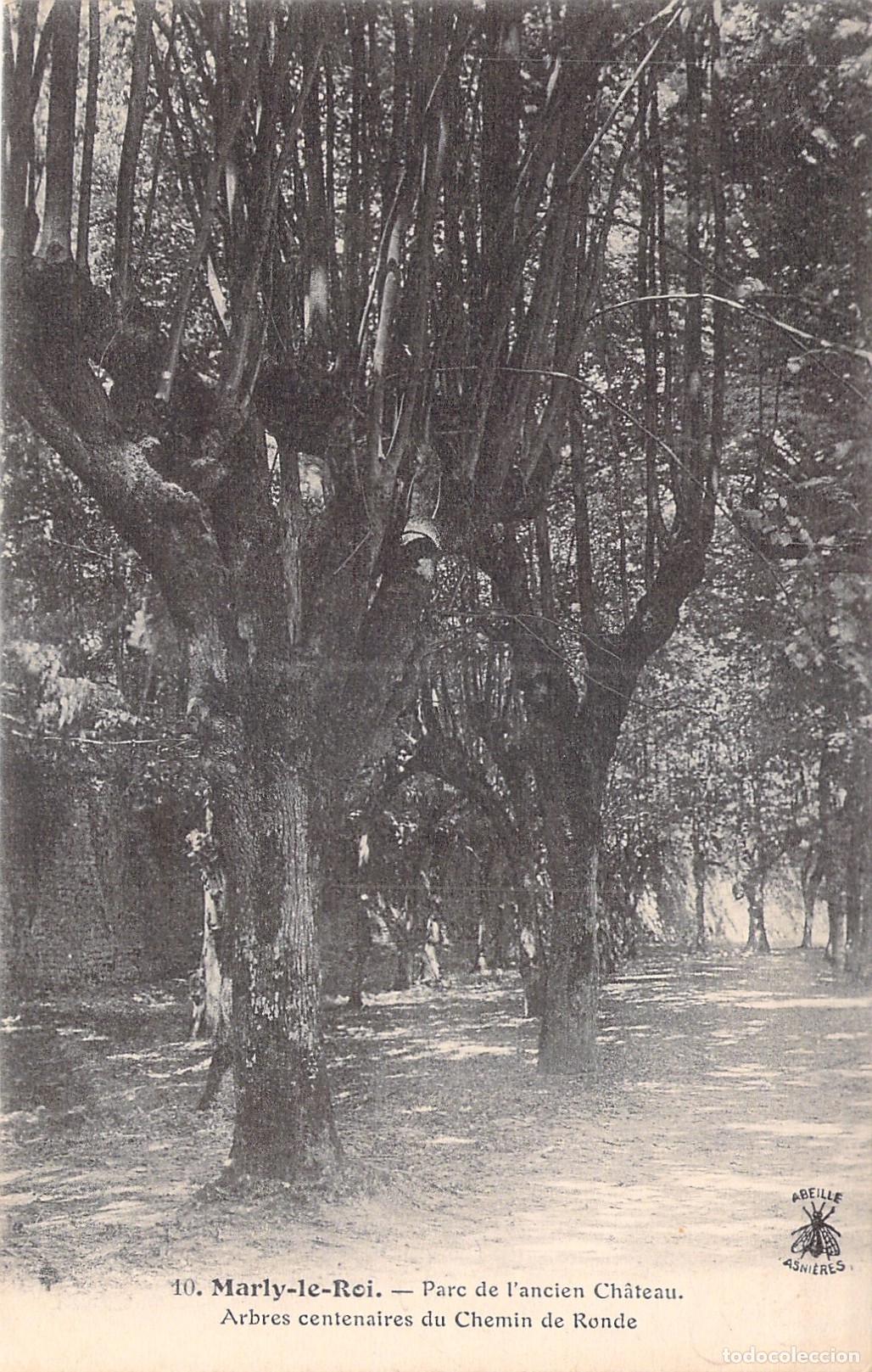 Postkarten: Postal de Marly-le-Roi Parc de l'ancien Ch&acirc;teau Arbres Centenaires