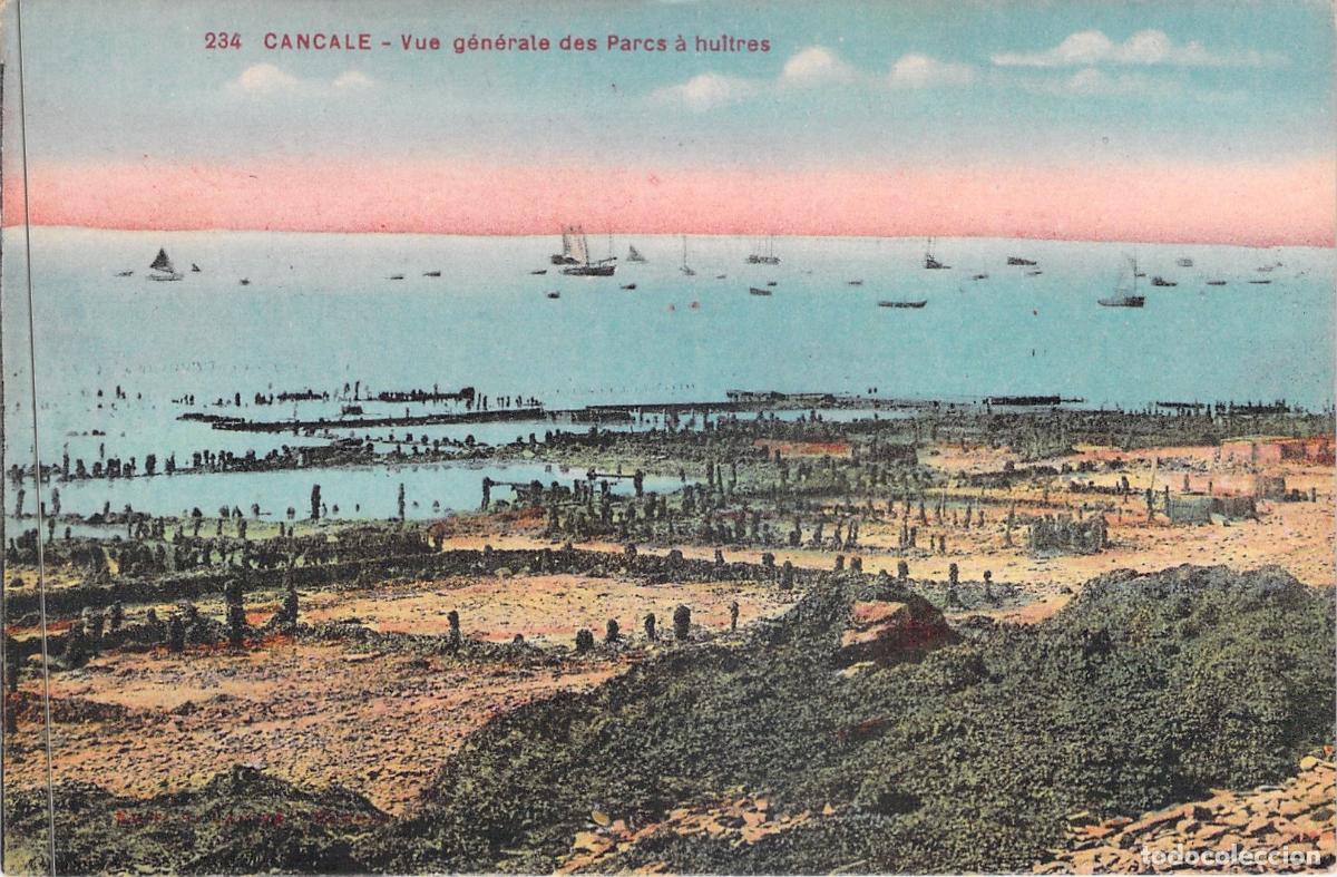 Postkarten: Postal de Cancale, Francia - Vista General de los Parques de Ostras