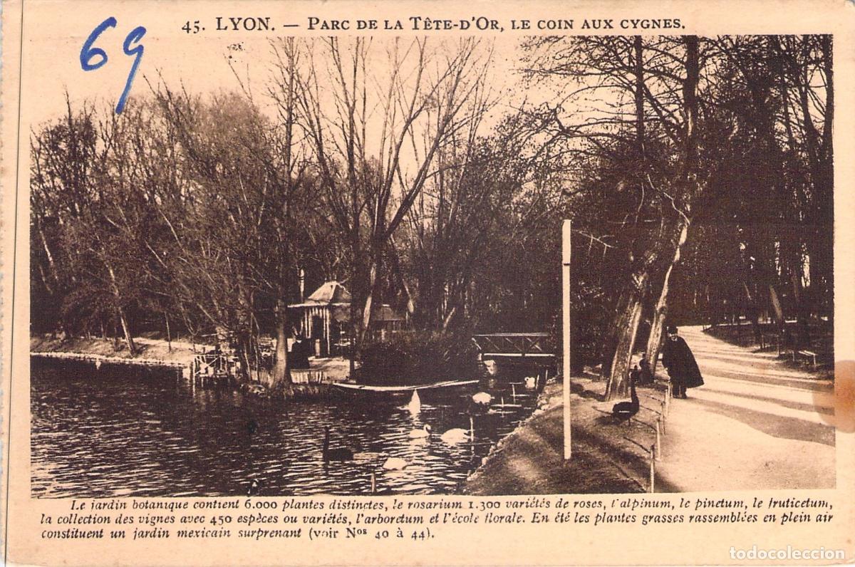 Postales: Postal de Lyon, Parc de la T&ecirc;te-d'Or, El Rinc&oacute;n de los Cisnes
