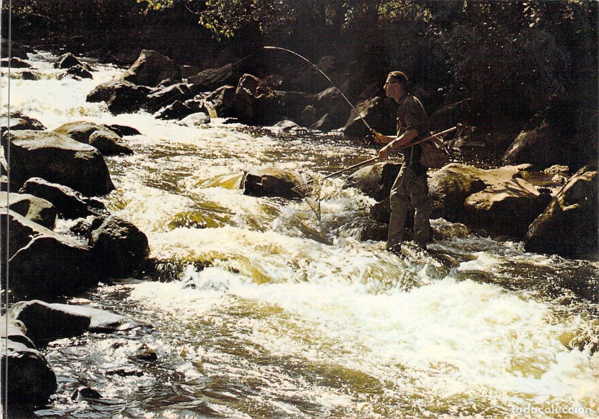 Postales: Postal de Pesca de Trucha en los Torrentes de Auvergne