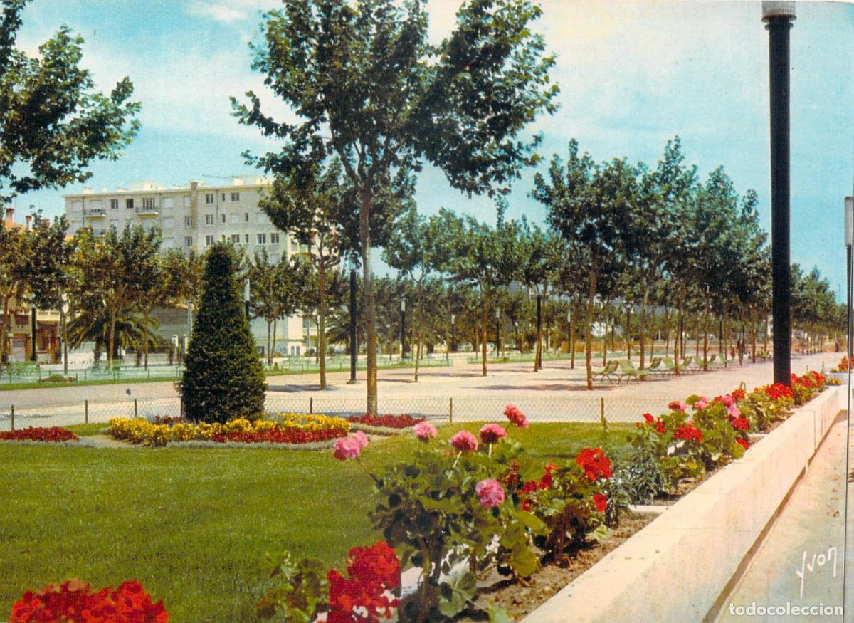 Postales: Postal de Perpignan, Promenade des Platanes, Francia