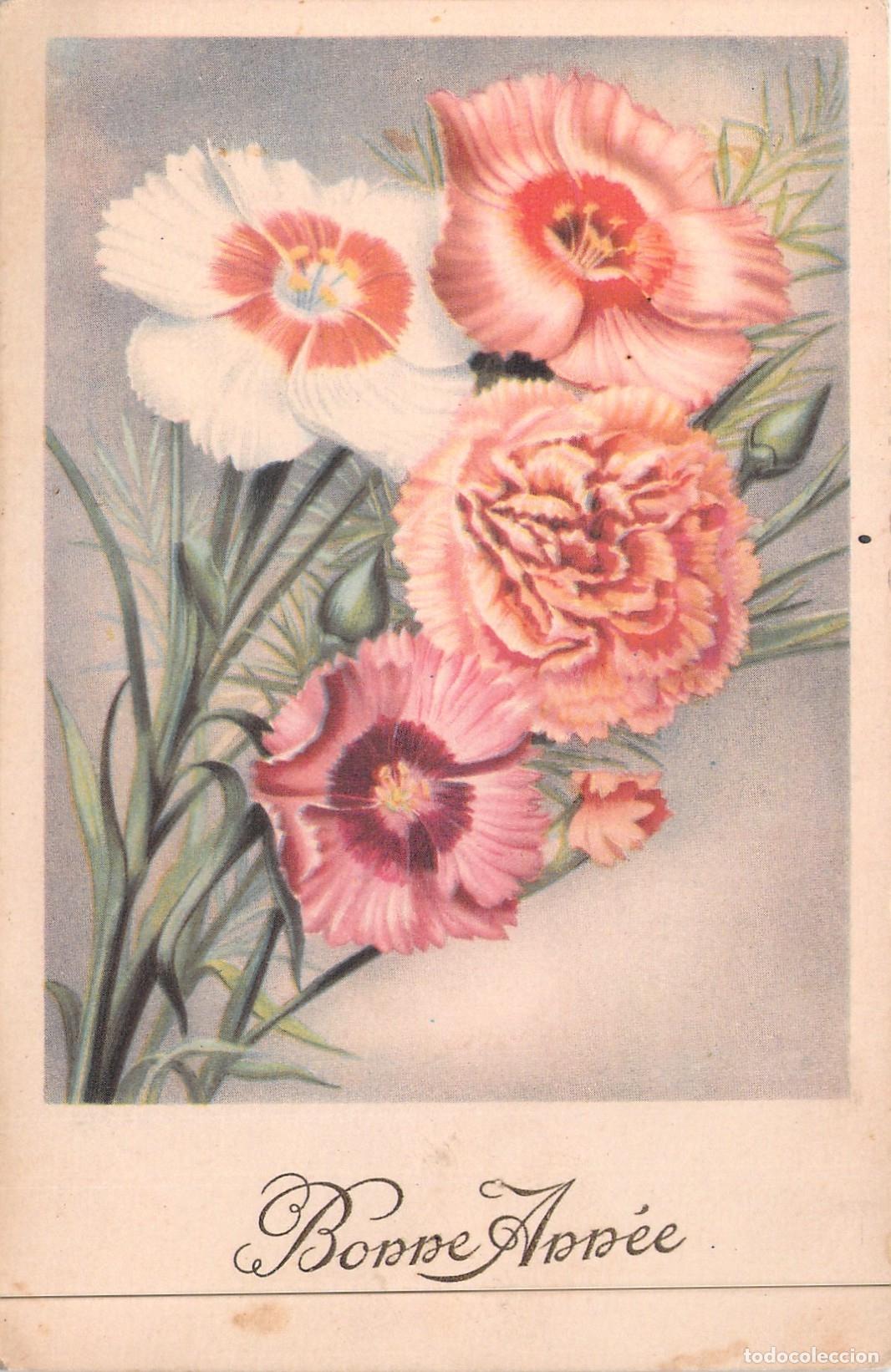Postcards: Postal de Felicitaci&oacute;n de A&ntilde;o Nuevo con Ilustraci&oacute;n de Claveles