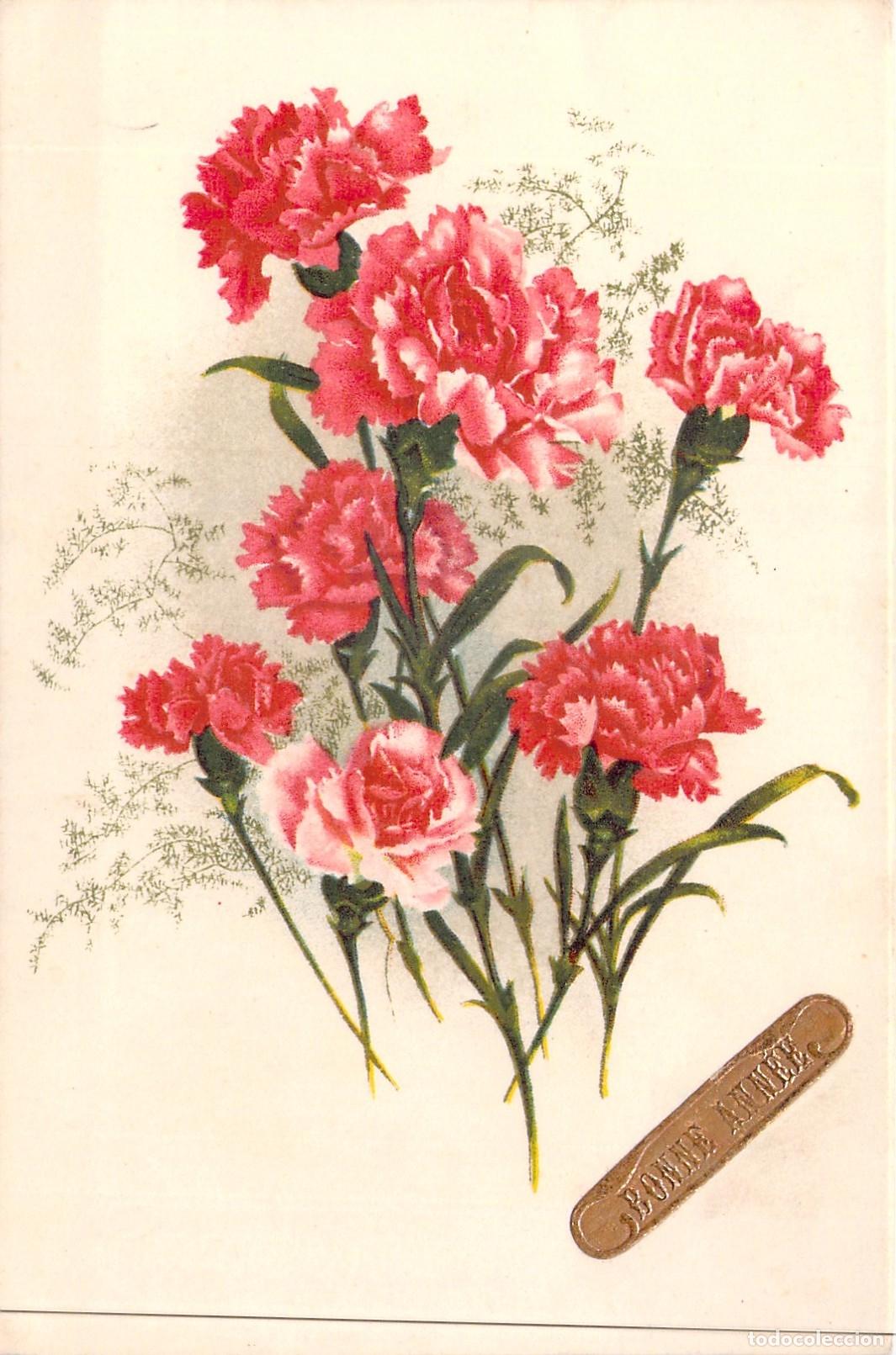 Postkarten: Postal de Felicitaci&oacute;n de A&ntilde;o Nuevo con Claveles Rosas