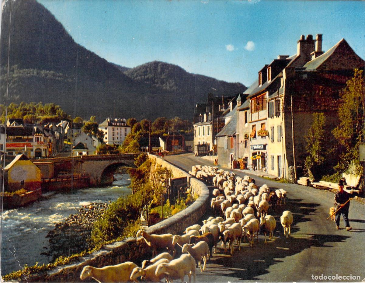 Postkarten: Postal de Arreau, Valle de Aure: Reba&ntilde;o de Ovejas en los Pirineos