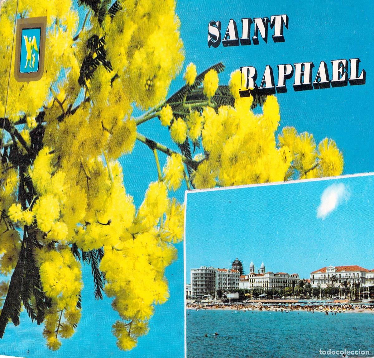 Postales: Postal de Saint-Rapha&euml;l Francia con Mimosa y Vista Costera