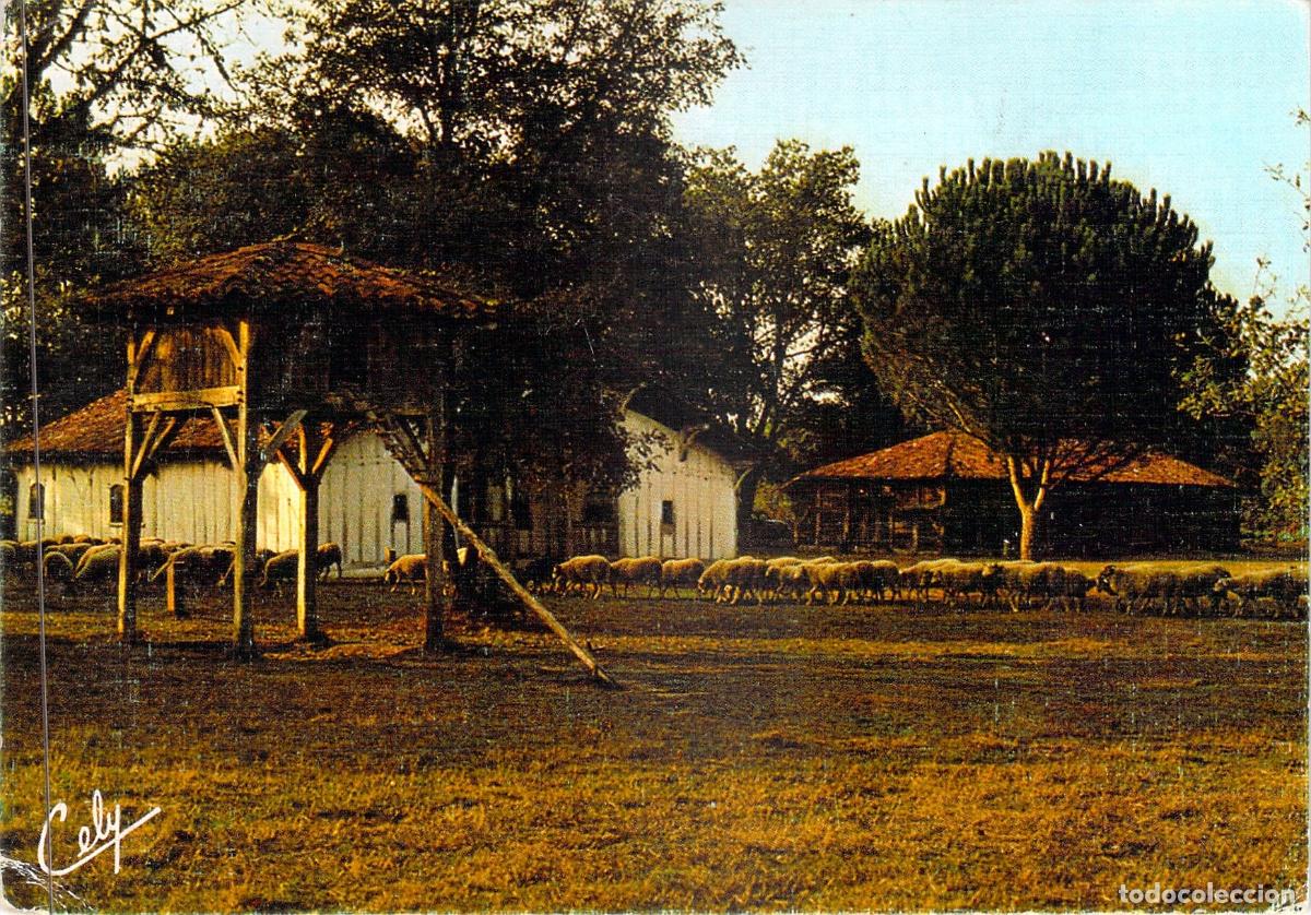 Postales: Postal de Granja en Landes, Francia - Ferme Landaise