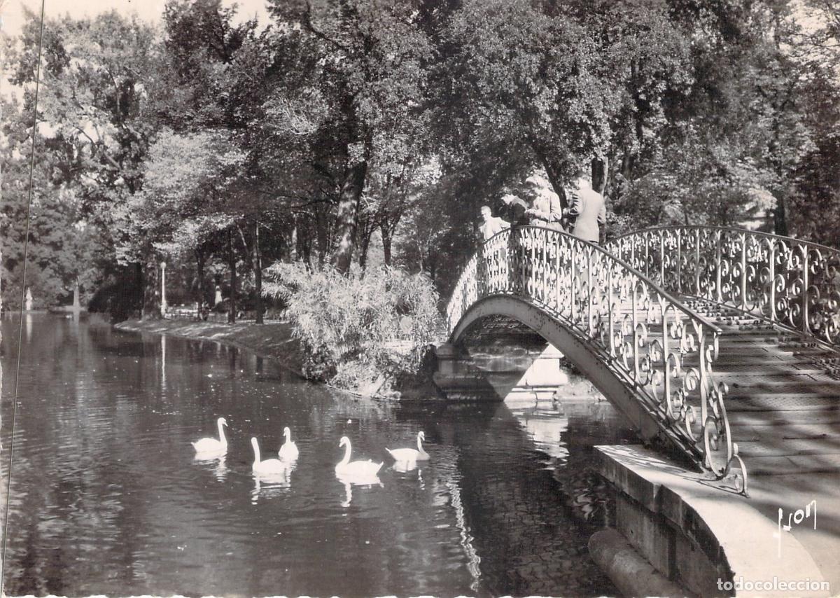 Postales: Postal de Bordeaux: Puente y Cisnes en el Jard&iacute;n P&uacute;blico de Francia